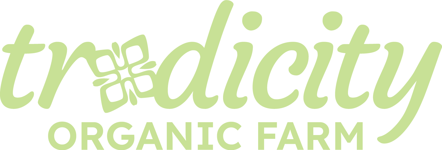 Tradicity Organic Farm