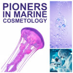 Cosmética facial profesional natural Bleu Marine Bretania para cabinas estéticas