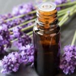 Aceite Esencial de Lavanda 6 x 15 ml – bleu & marine Bretania