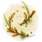 Cosmética facial profesional natural Bleu Marine Bretania para cabinas estéticas