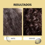 aceite-metodo-curly-profesional