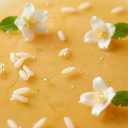 Cosmética facial profesional natural Bleu Marine Bretania para cabinas estéticas