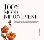 Home Diffuser | OmHome Black 300m³ | OmBiance - Imagen 4