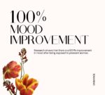 Home Diffuser | OmHome Grey 300m³ | OmBiance - Imagen 4