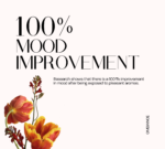 Home Diffuser | OmHome White 200m³ | OmBiance - Imagen 5