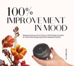 Car Diffuser | OmCar 10m³ | OmBiance - Imagen 3