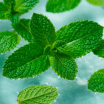 Loción Tónica de Agua de Menta Piperita para Piel Grasa y Mixta BMB - Mer Controle Ref. 604 - Imagen 2